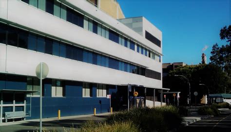 accommodation near westmead hospital.
